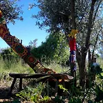 Casa Do Olival Figueiro Dos Vinhos
