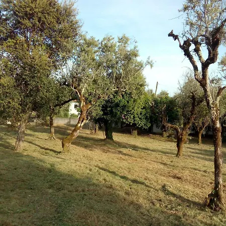 Casa Do Olival Casa de Férias