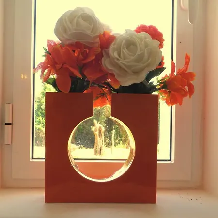 Casa Do Olival * Figueiro Dos Vinhos