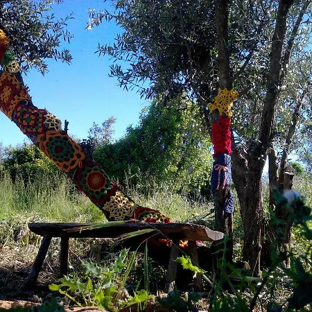 Casa Do Olival Figueiro Dos Vinhos