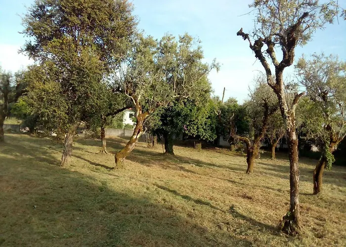 Casa Do Olival بيت للعطل