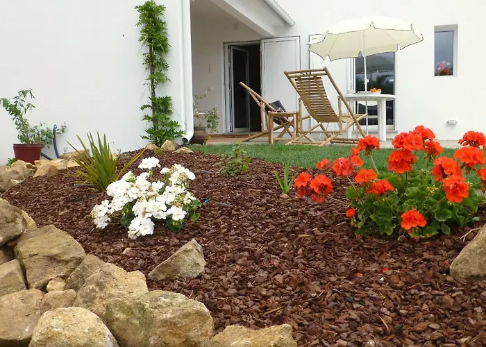 Semesterbostad Casa Do Olival Figueiro Dos Vinhos