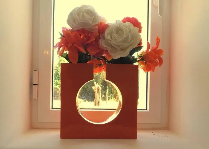 Casa Do Olival * Figueiro Dos Vinhos