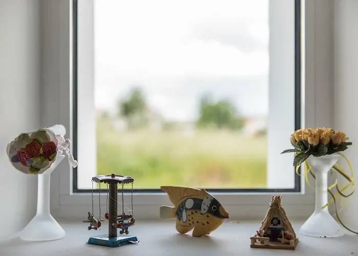 Casa Do Olival * Figueiro Dos Vinhos